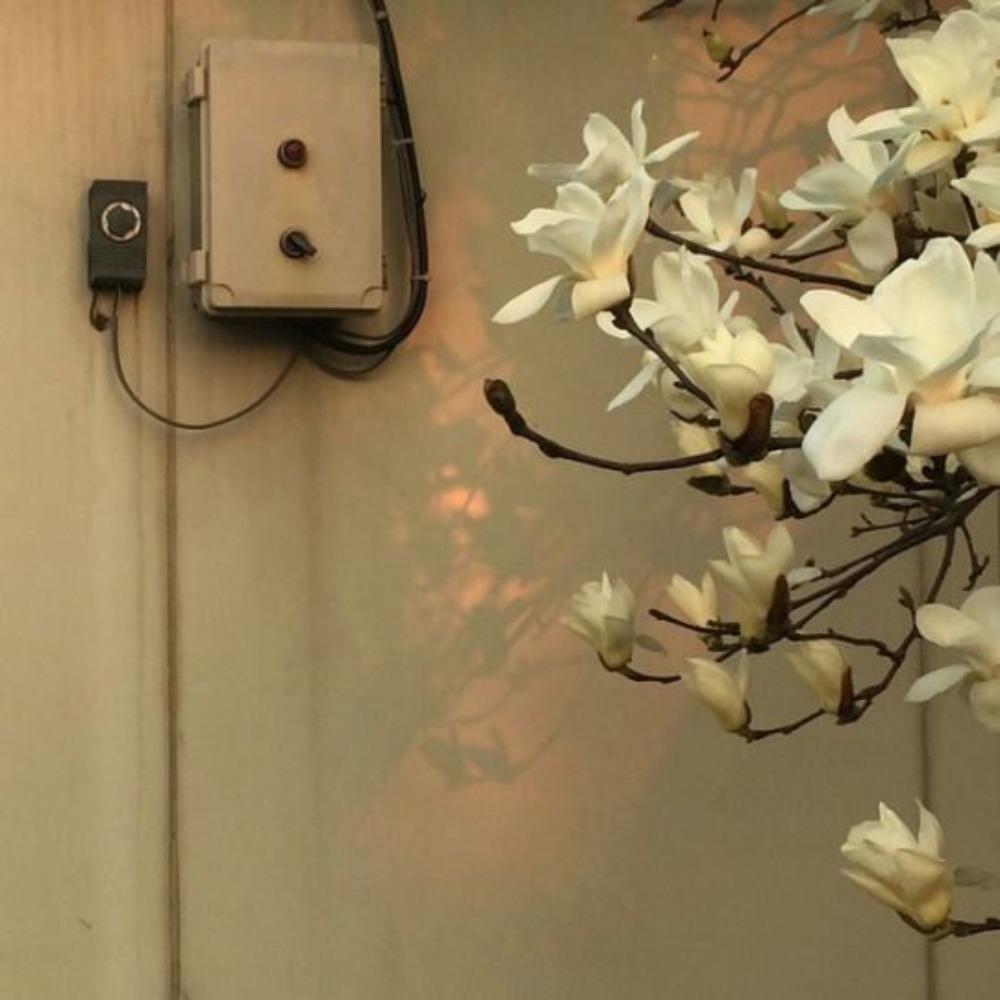 Meet your Posher, Sharareh